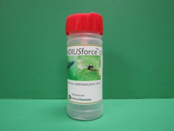 Insect control product bottle with red cap against green background.