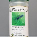 Aphidiusforce bottle containing 250 Aphidius ervi, a natural parasite of aphids, by Beneficial Insectary.