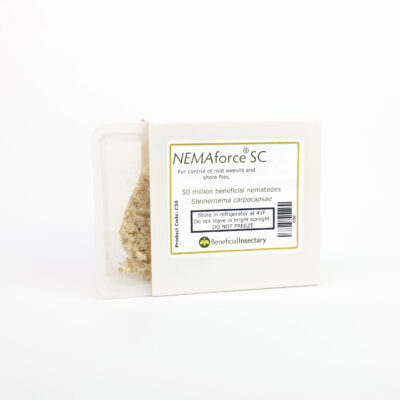 NEMAforceSC C50. Shore Fly Larvae Control