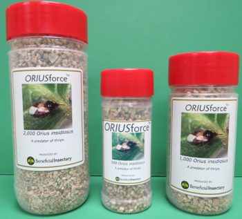 Three jars of CRUSHforce snail attractant bait on a green background.