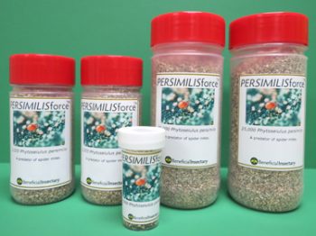 Various sizes of containers with red lids labeled Persimilisforce, against a green background.