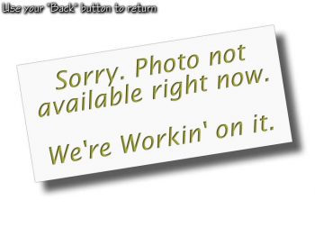 Image displaying a message stating that the photo is not currently available with a note saying "We're workin' on it.